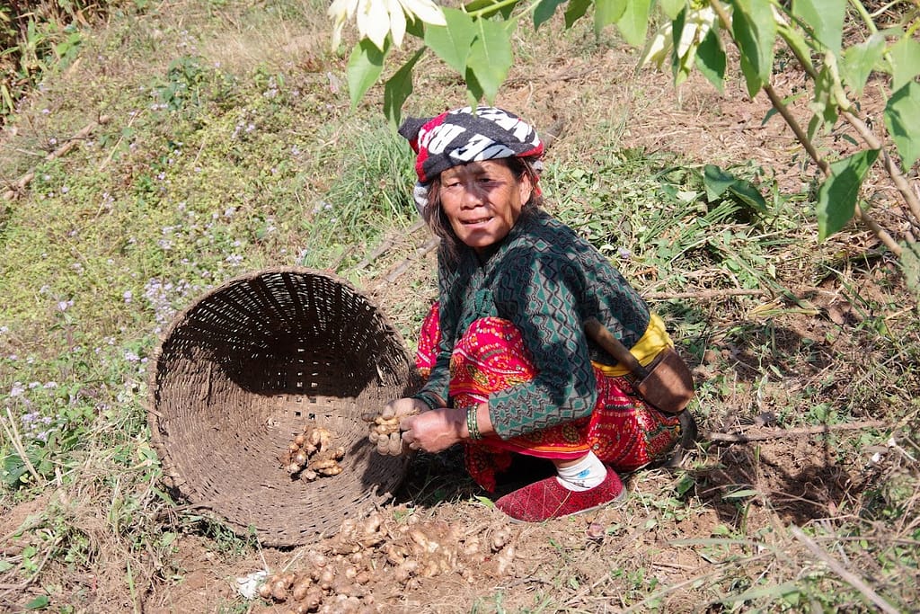 women in field in millennium trek