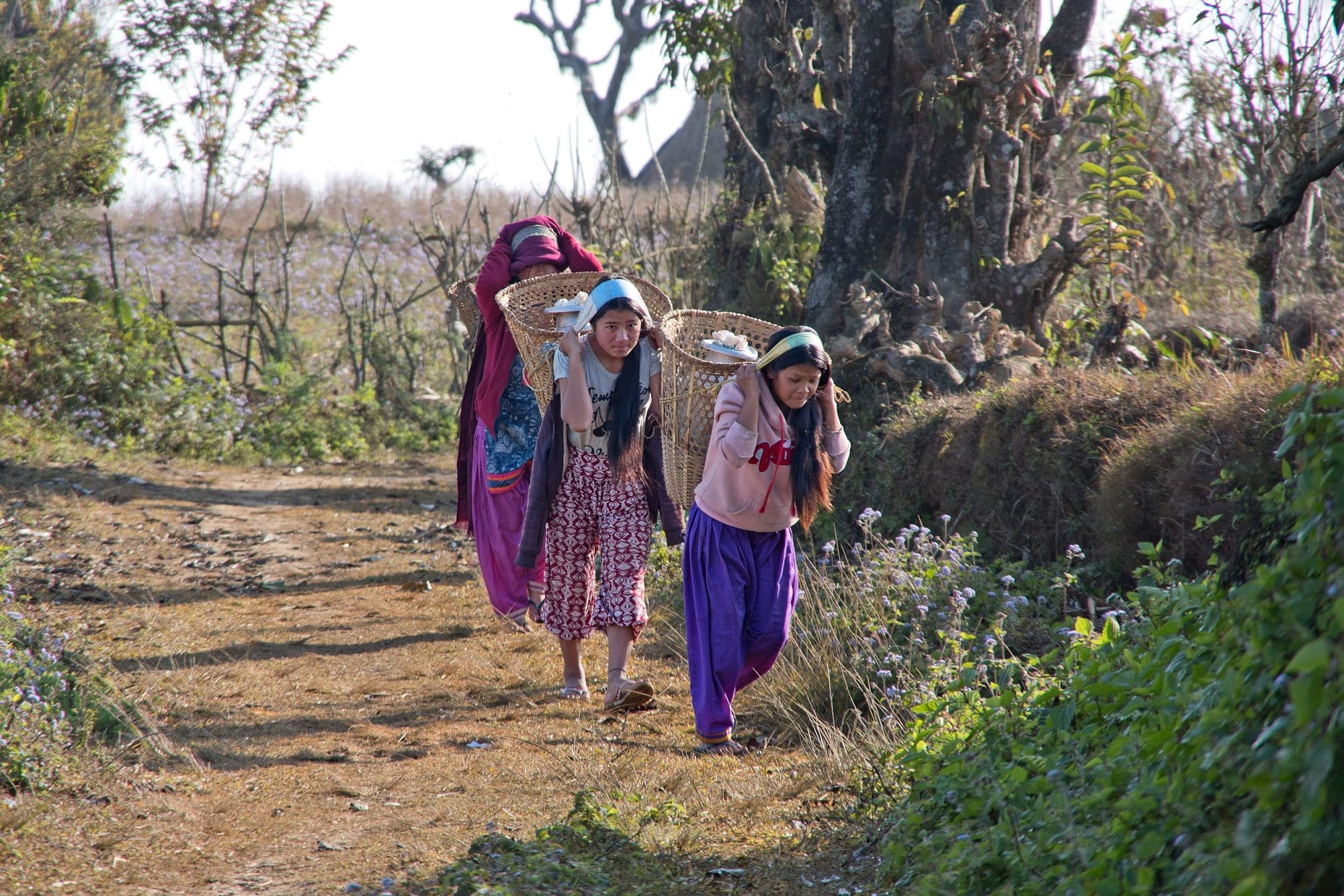 village life at millennium trek